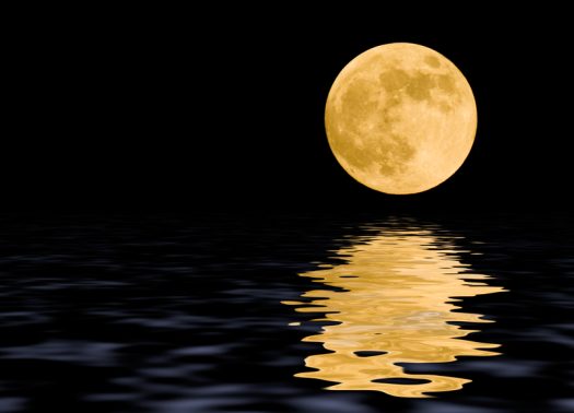 Midnight moonlight